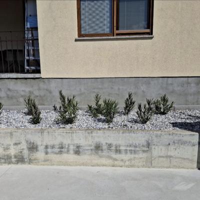 Screenshot 20260327 123258 Whatsapp